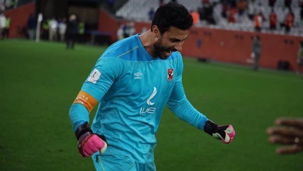 محمد الشناوي -أرشيفية