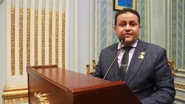 النائب شحاتة أبو