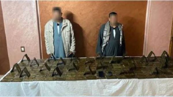 مخدر الحشيش