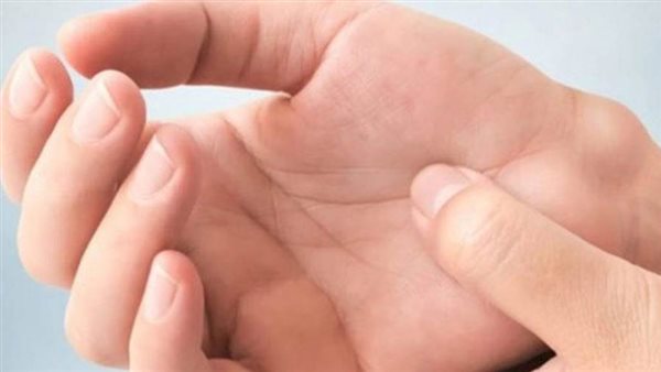 الدفع بواسطة راحة