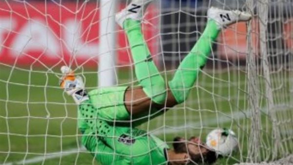 شريف إكرامي-أرشيفية