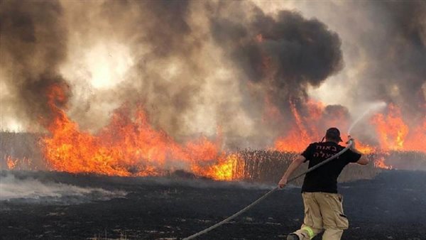 حريق في اسرائيل