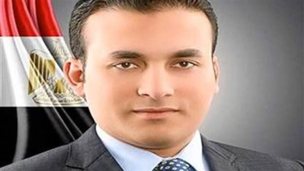 النائب عمرو فهمي