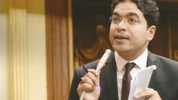 النائب ضياء الدين