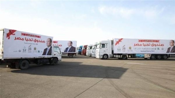 صندوق تحيا مصر -