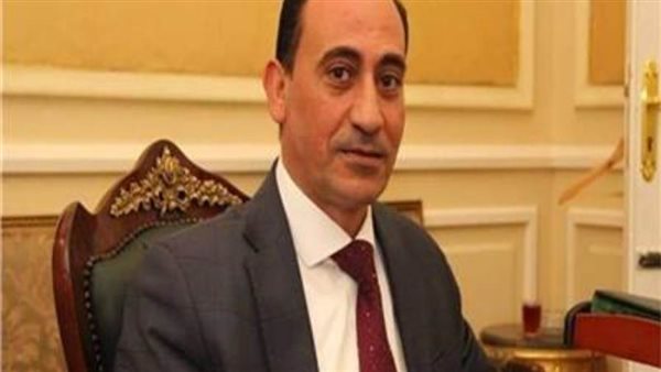 النائب محمد زين الدين