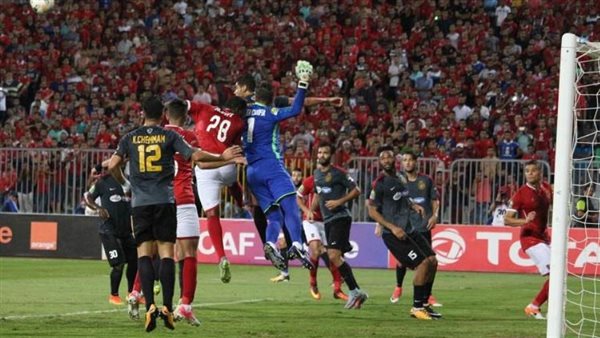 خبير قانوني تونسي