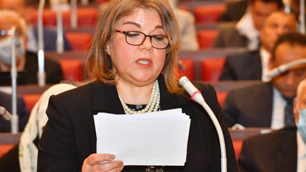 النائبة فيبي فوزي