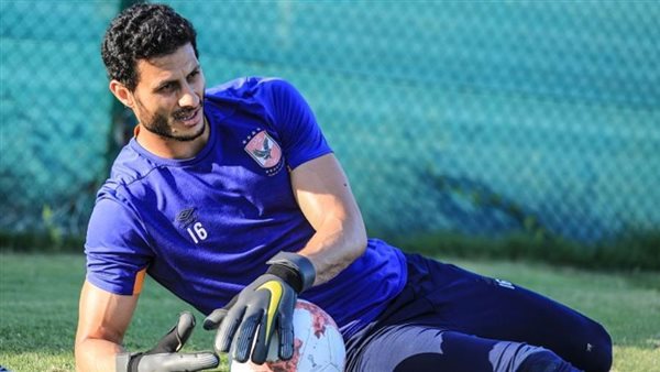 محمد الشناوي -أرشيفية