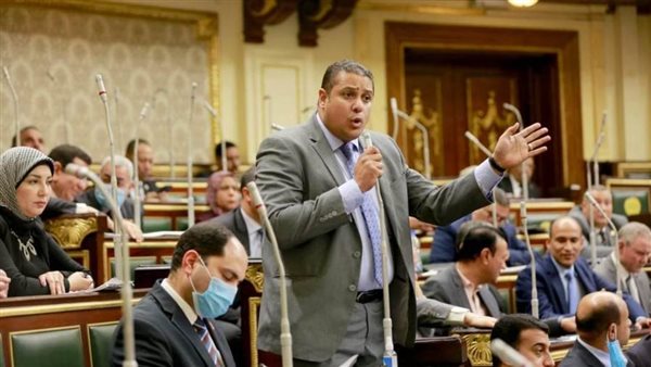 النائب محمد إسماعيل