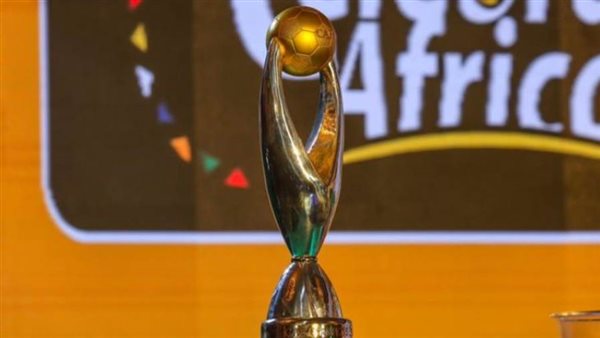 قرار اتحاد جنوب إفريقيا