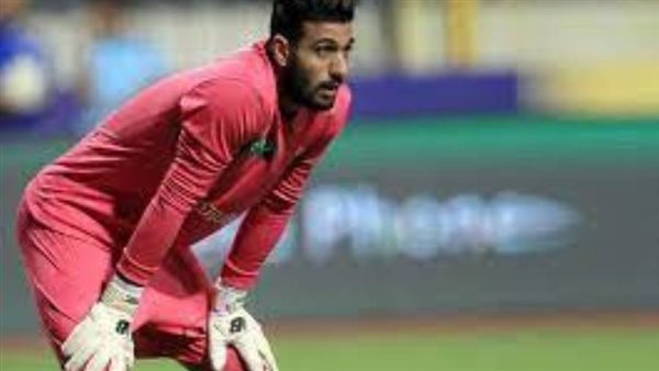 أحمد الشناوي - أرشيفية