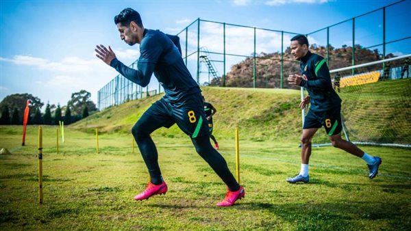 في الغابات.. استعدادت