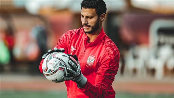 محمد الشناوي أرشيفية