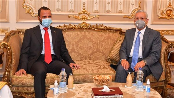 المستشار الدكتور