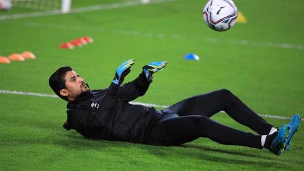 علي لطفي -ارشيفية