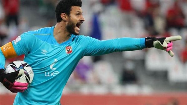 الشناوي أرشيفية