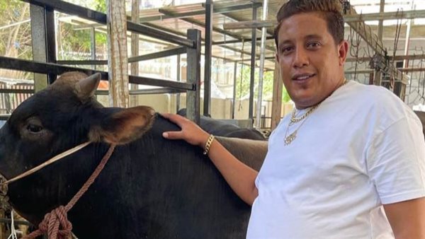 حمو بيكا - أرشيفية