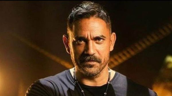 أمير كرارة _ أرشيفية