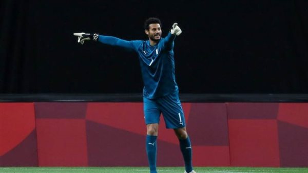 محمد الشناوي-أرشيفية