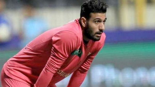 أحمد الشناوي -أرشيفية