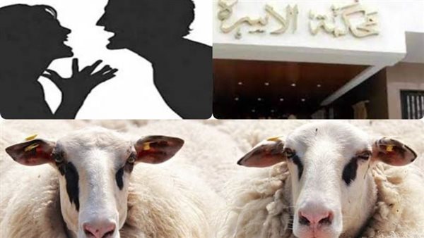 خلافات أسرية - أرشيفية