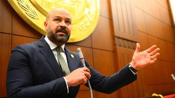 النائب أحمد دياب