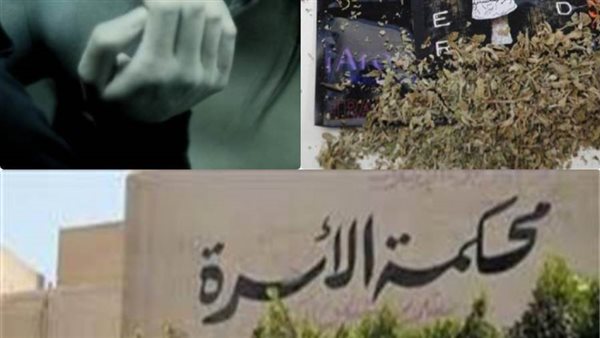 محكمة الأسرة - تحيا