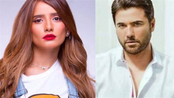 أحمد عز وزينة