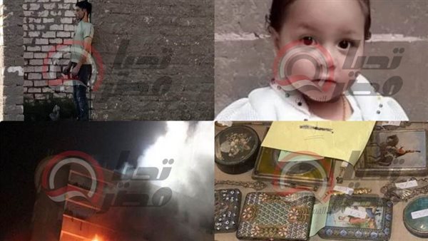 حوادث تحيا مصر