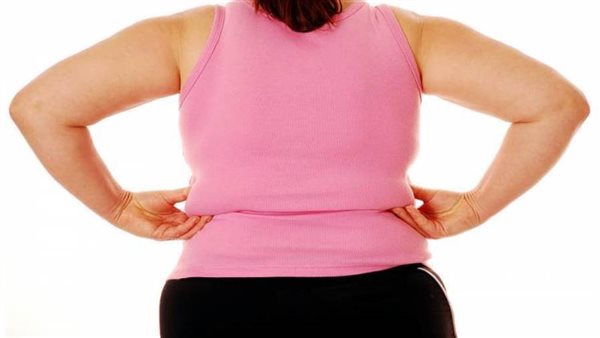 محكمة الأسرة - تحيا