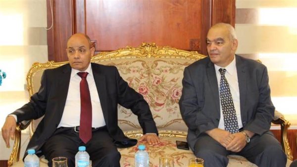 النيابة الادارية