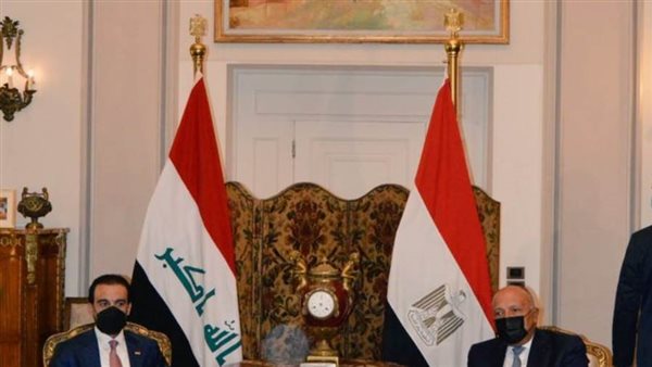 وزير الخارجيه المصري