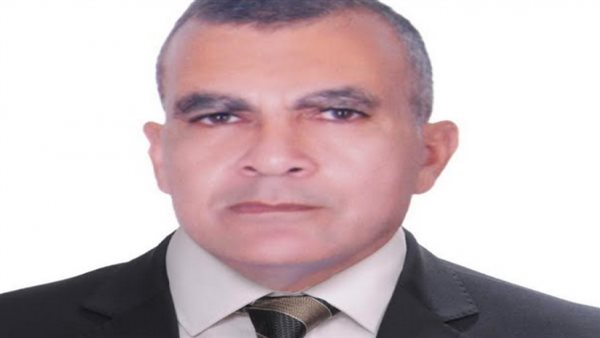 المستشار عصام الدين