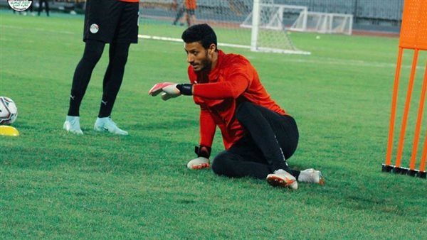 محمد الشناوي/ أرشيفية