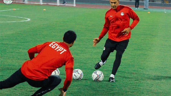 محمد الشناوي/ أرشيفية