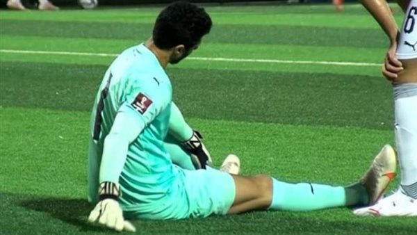 محمد الشناوي/ أرشيفية