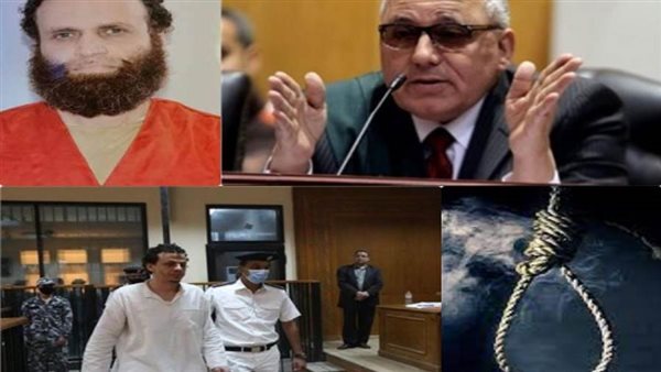 المستشار محمد السعيد