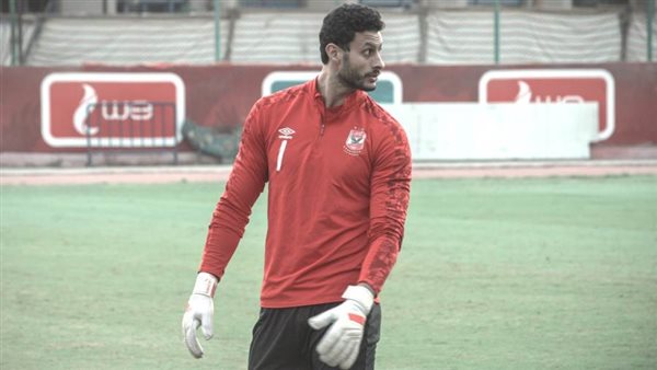 محمد الشناوي-أرشيفية