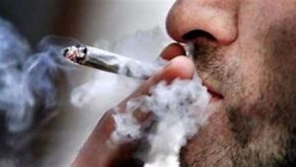 محكمة الاسرة