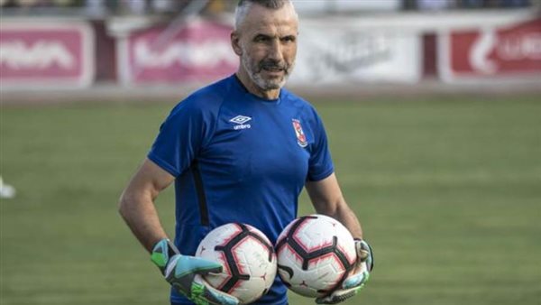 ميشيل يانكون