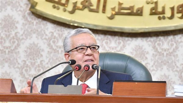 المستشار الدكتور