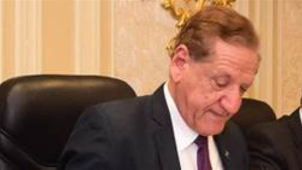 النائب فخري الفقي