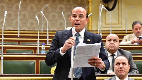 النائب عمرو القطامى