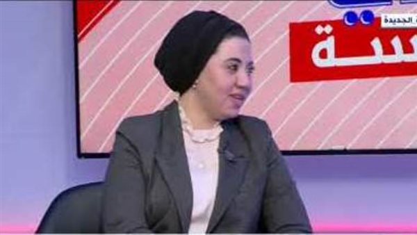 النائبة أميرة صابر