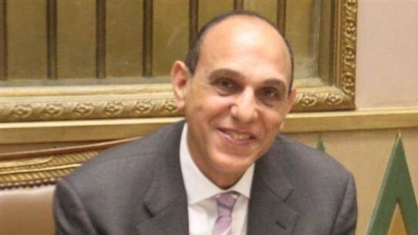 النائب مجدى سيف عضو