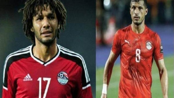 طارق حامد والنني