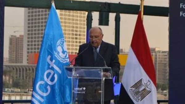 وزير الخارجية