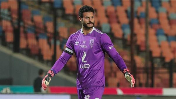 محمد الشناوي