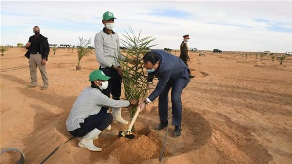 الدكتور مصطفى مدبولي